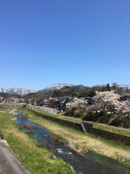 一福本社から望む大万木山の残雪と桜